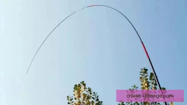 竞技钓鱼钓竿调性解析：硬竿软竿影响赛场胜负